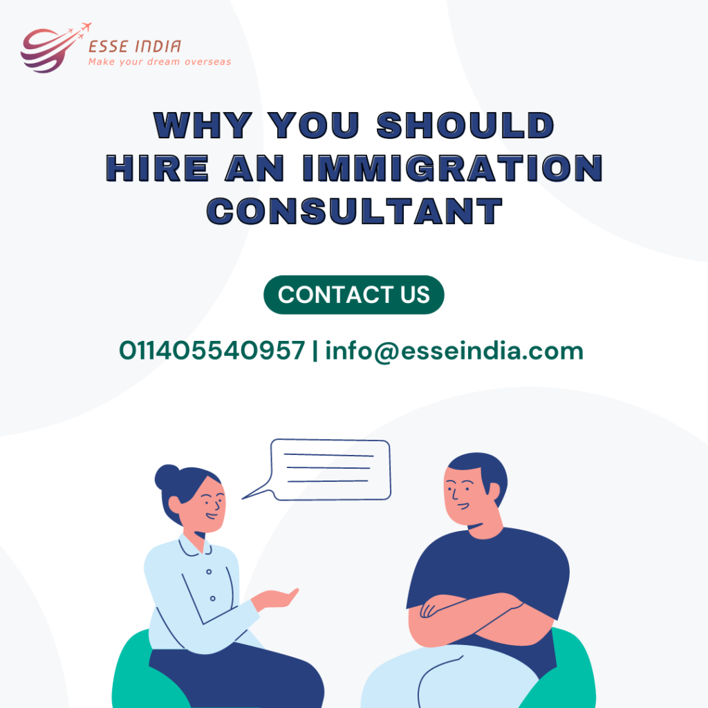WHY YOU SHOULD HIRE AN IMMIGRATION CONSULTANT