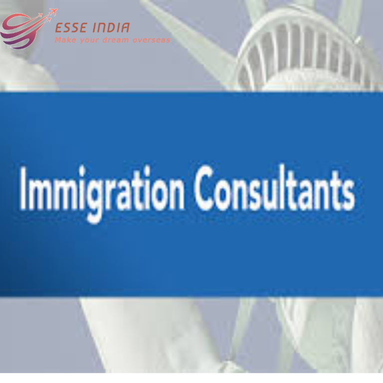 "How Immigration Consultants Can Assist You in Navigating the Visa Application Process"